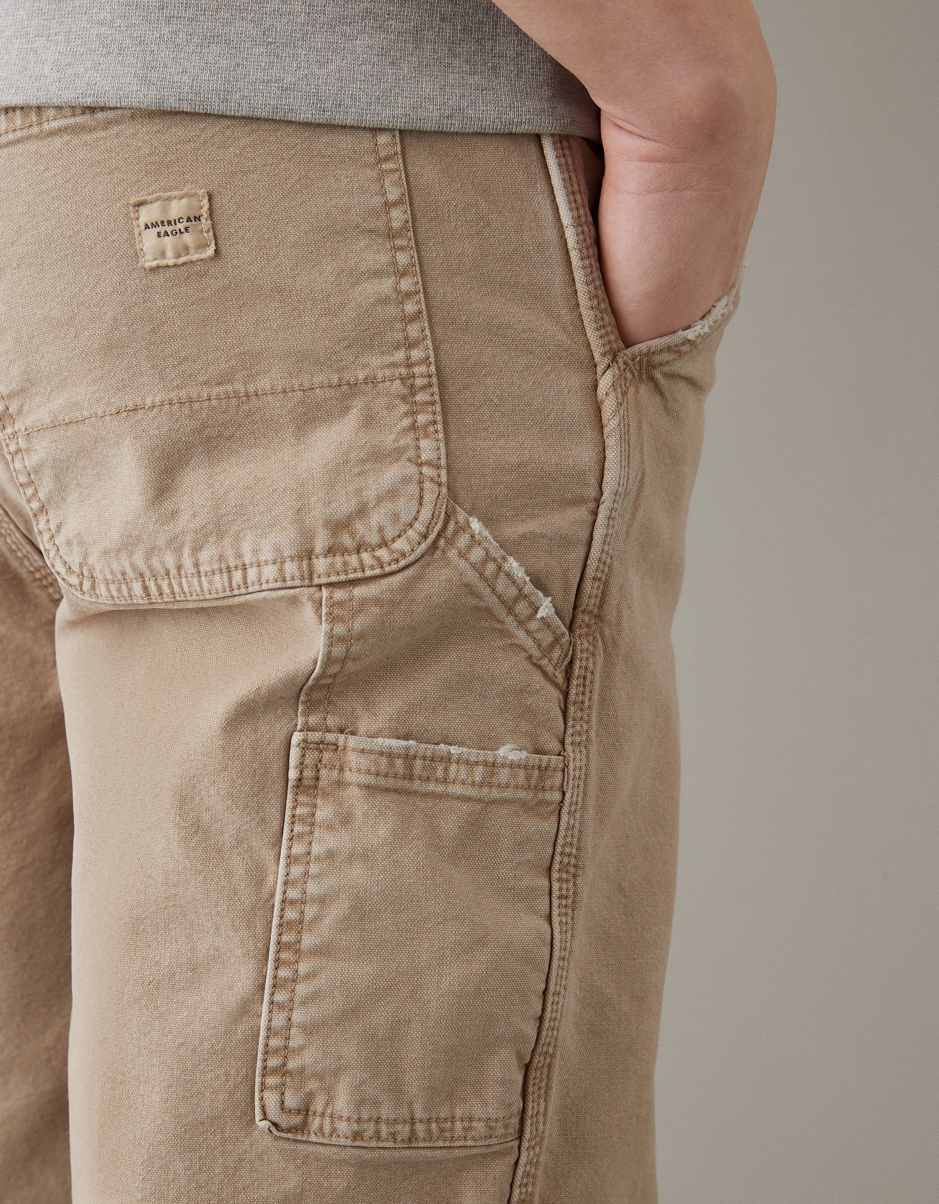 AE Flex Carpenter Pant
