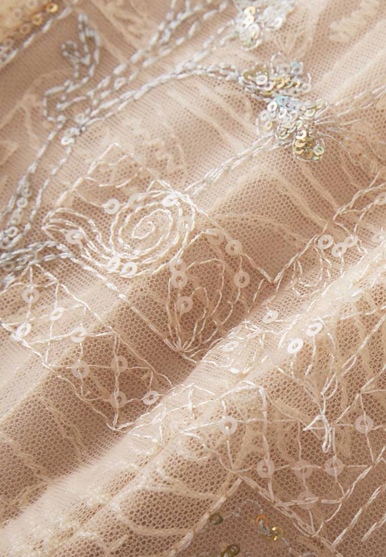 Beige Embroidered Sequin-detailing Mesh Dinner Dress