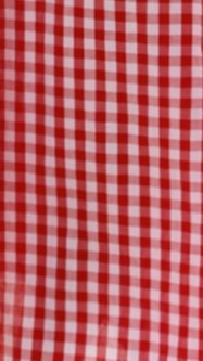 Brydie Halter Maxi Dress - Gingham Red