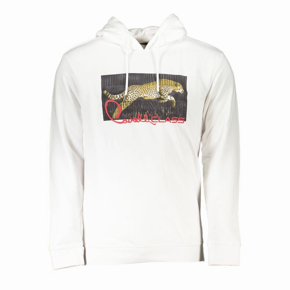 Cavalli Class Cotton Men Men's Sweater