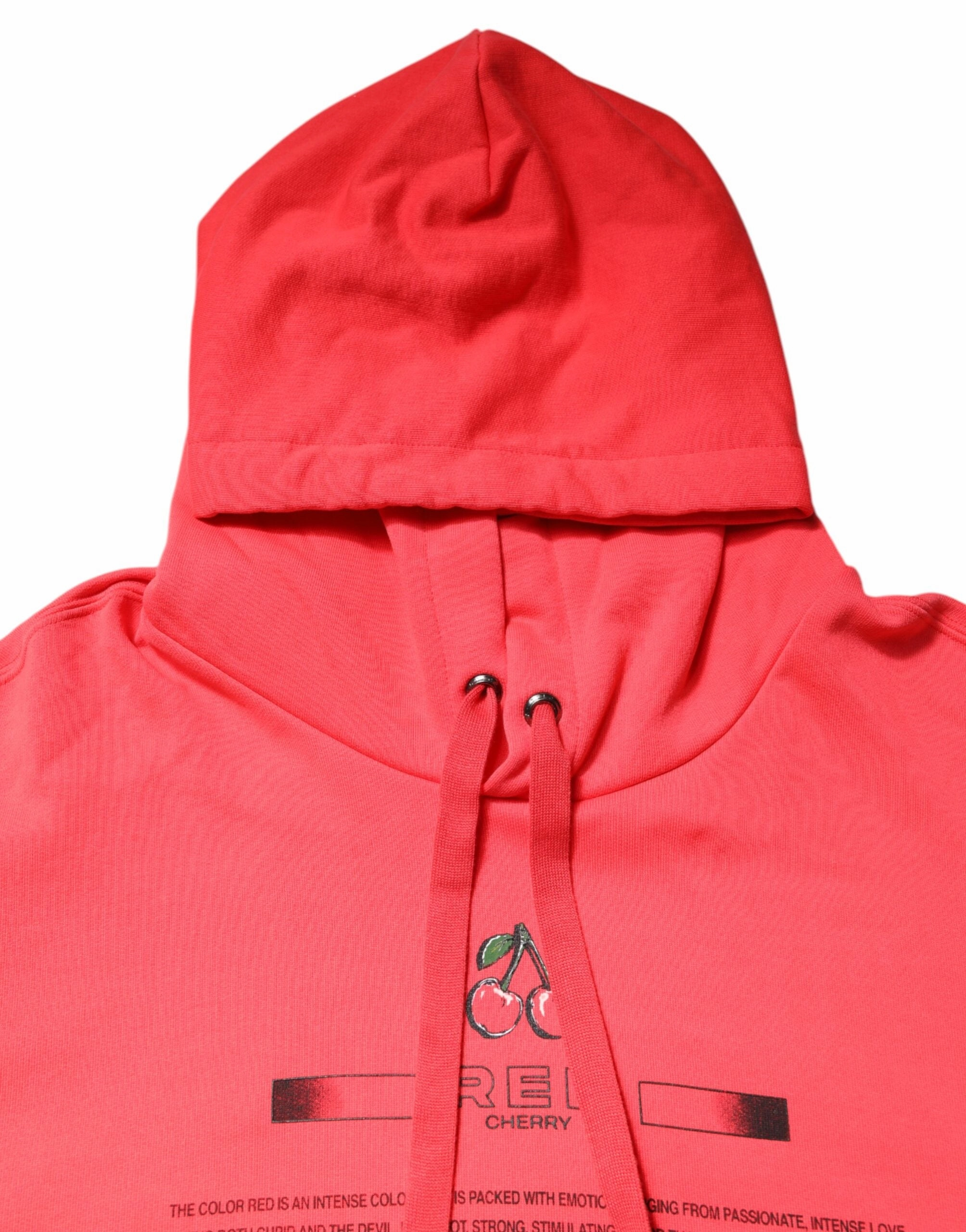 Dolce & Gabbana Logo Printed Hooded Sweatshirt Men's Sweater