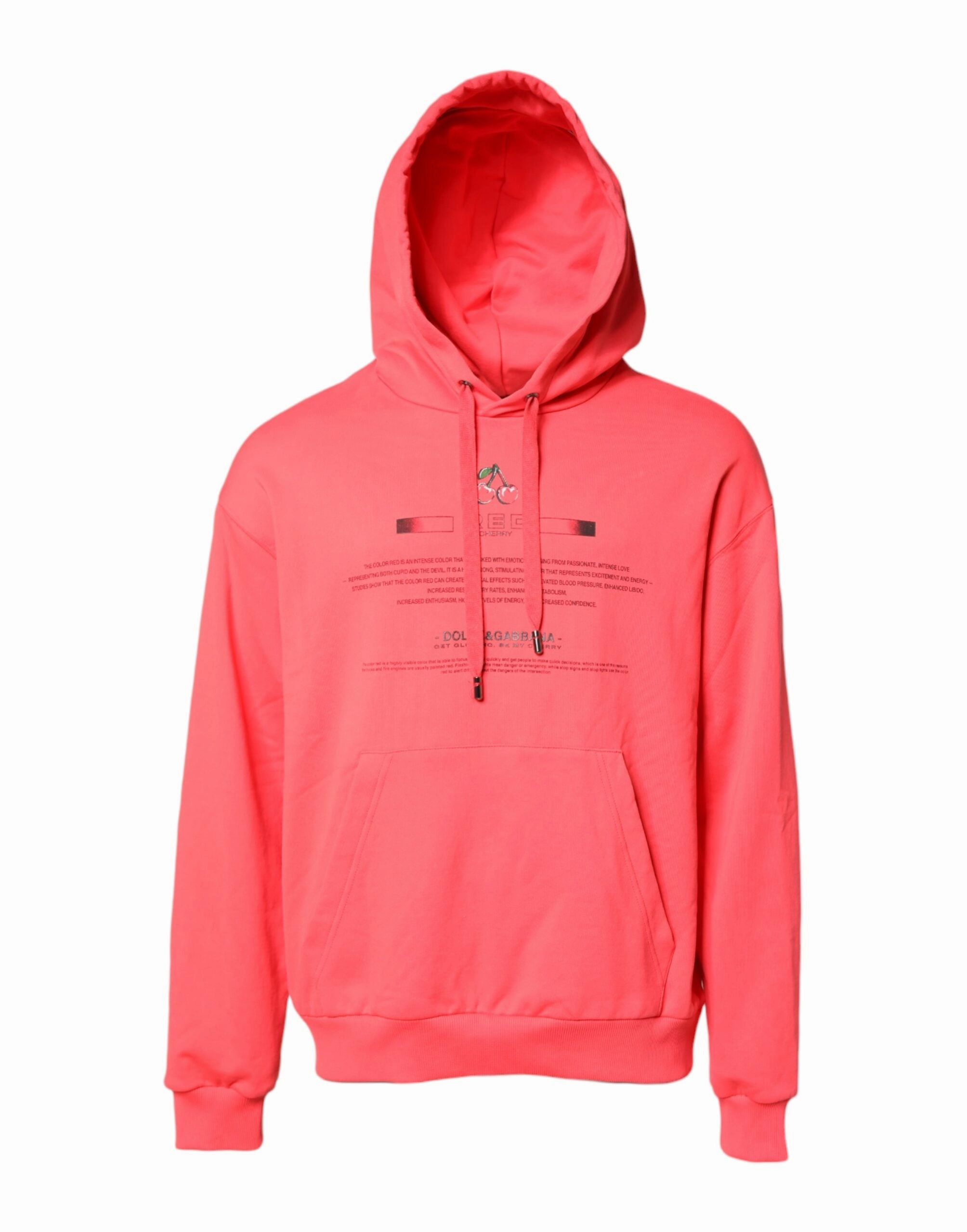 Dolce & Gabbana Logo Printed Hooded Sweatshirt Men's Sweater