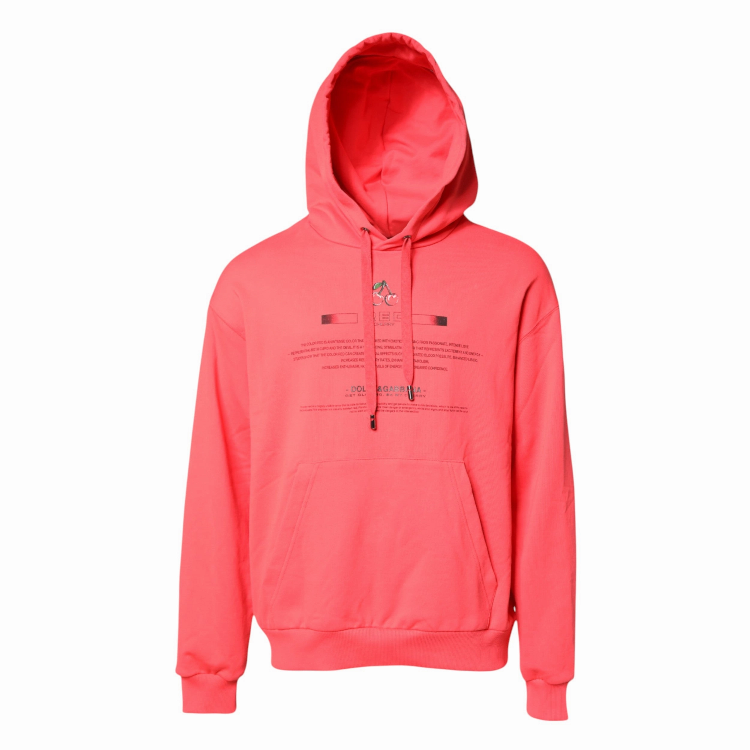 Dolce & Gabbana Logo Printed Hooded Sweatshirt Men's Sweater