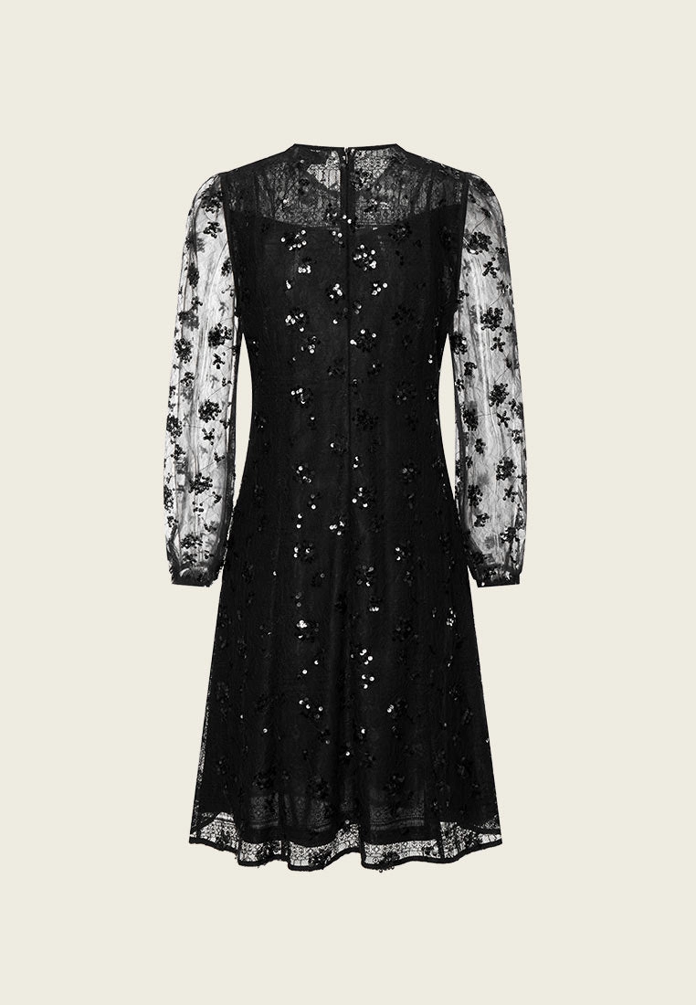 Lace Sequin Embellished Party Dress