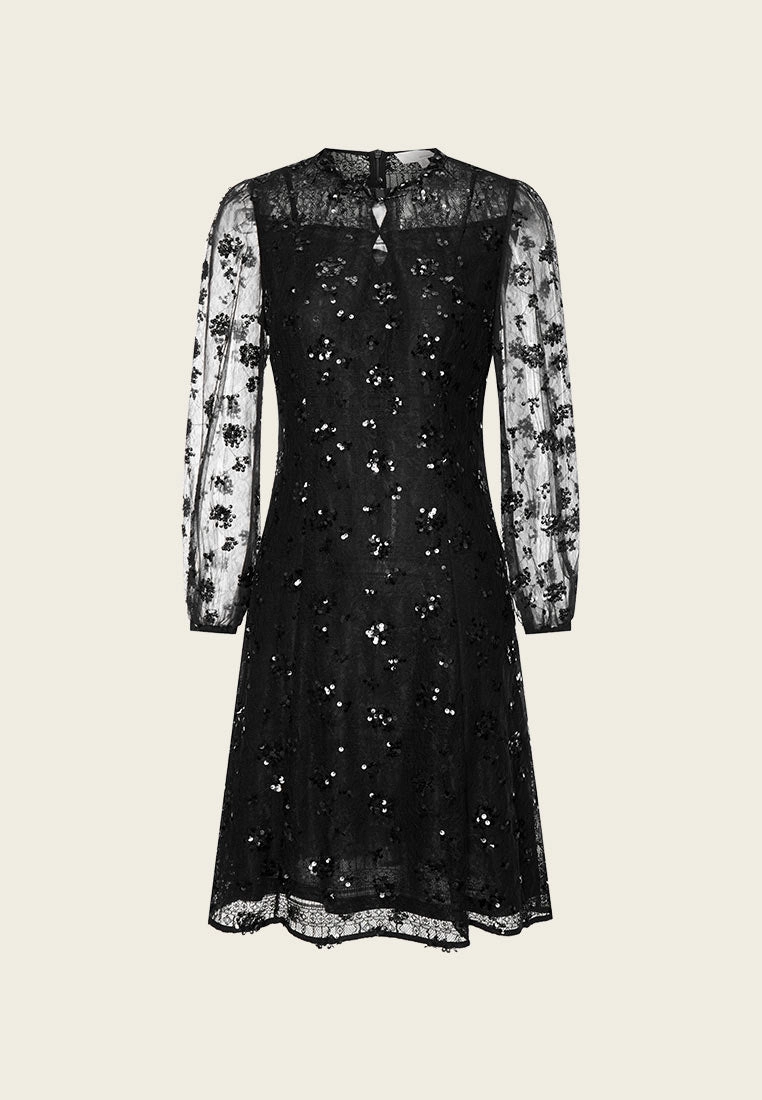 Lace Sequin Embellished Party Dress