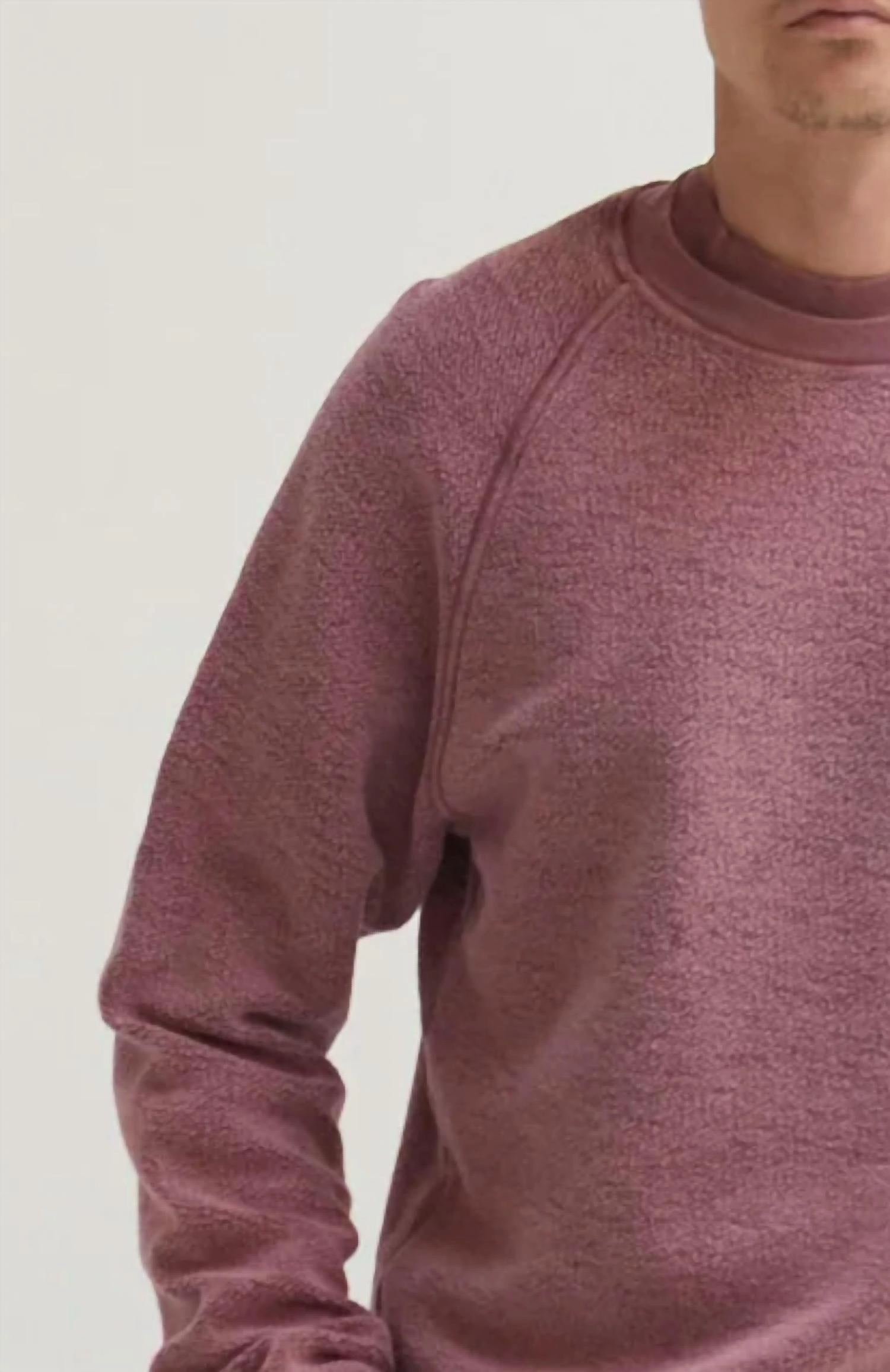 Leo Reverse Crewneck In Raisin