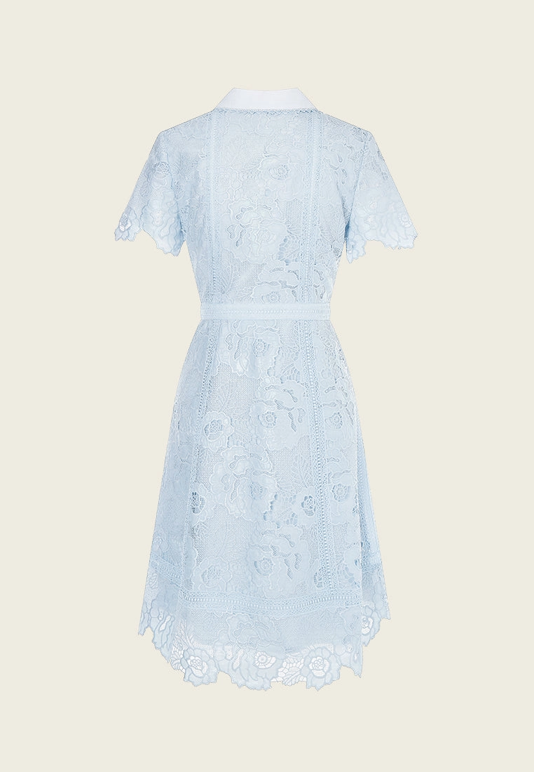 Light Blue Lace Collar Dress
