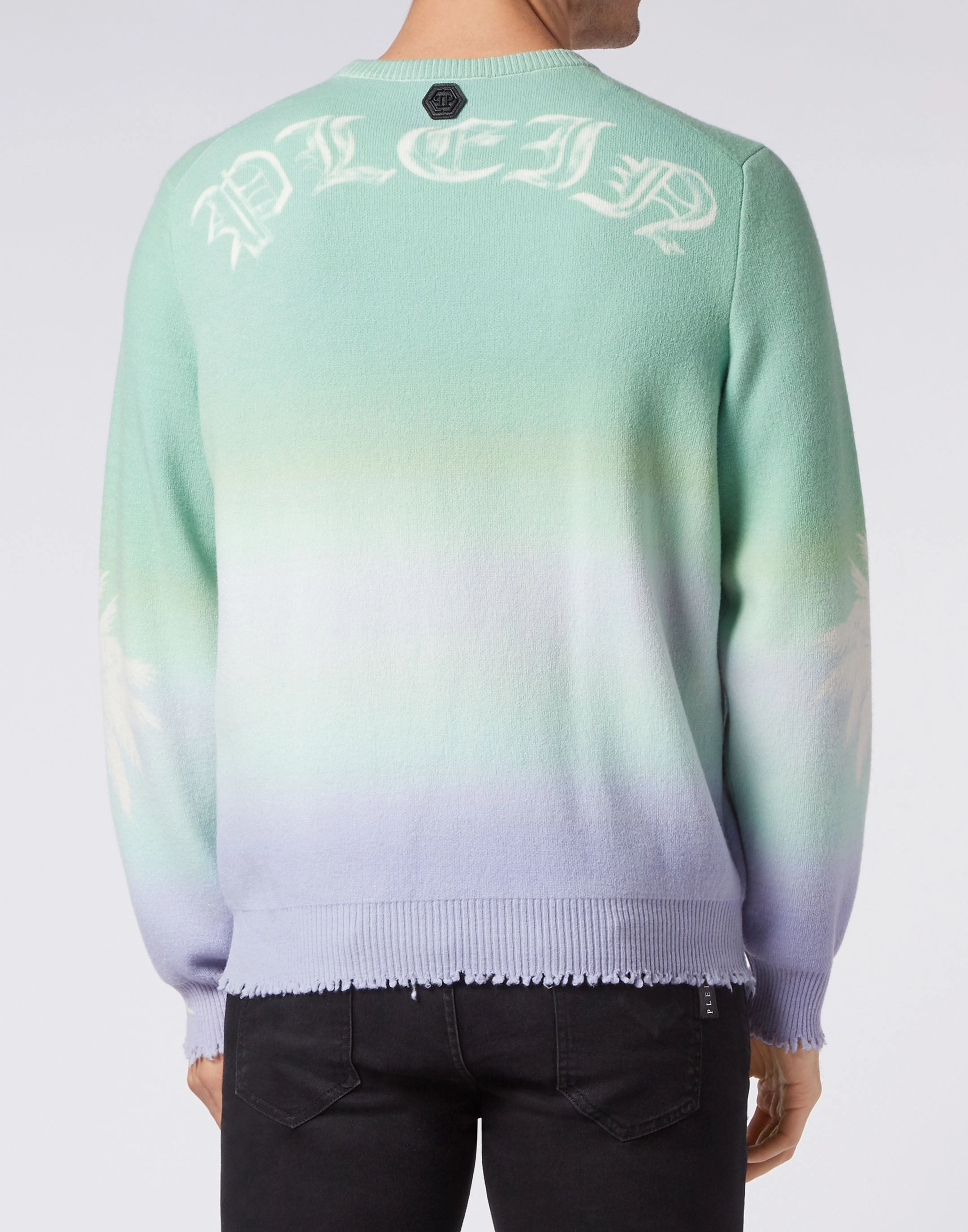 Merino Wool Pullover LS Hawaii