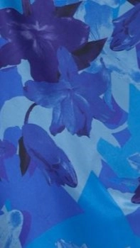 Miya Maxi Dress - Blue Floral