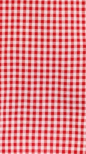 Selma Vest and Shorts Set - Red Gingham