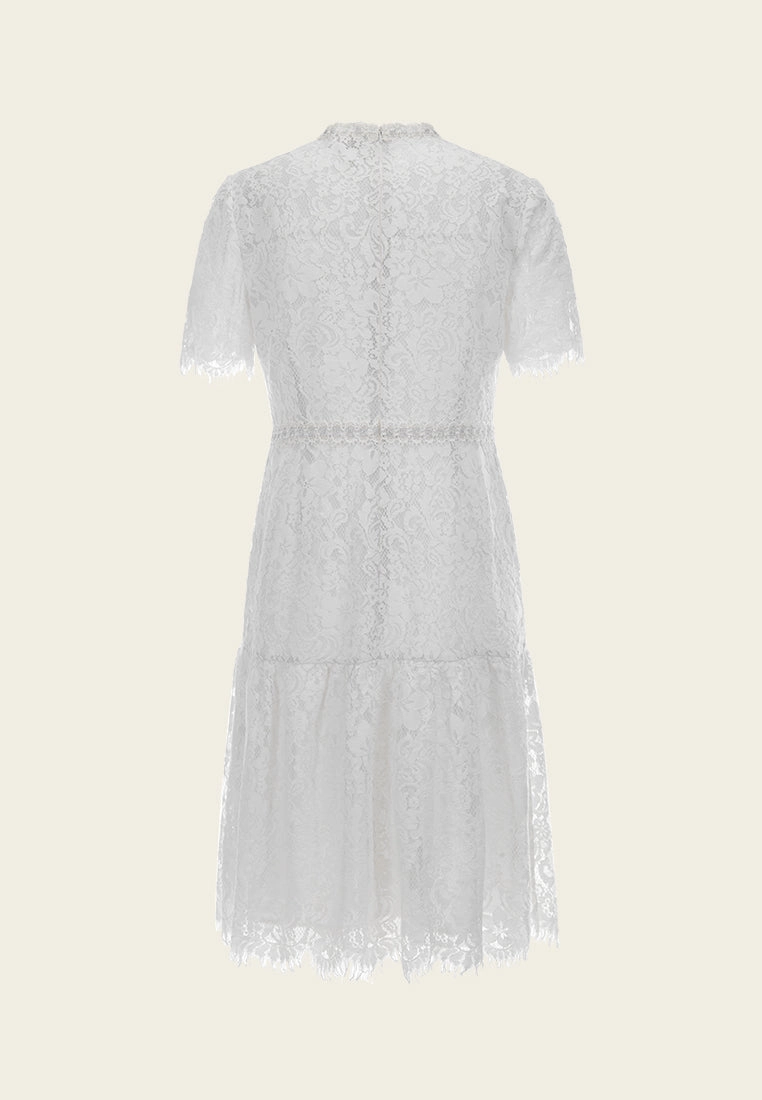 Stand-collar Luerx-trim Frayed-detail Lace Dress