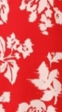 Sumi Mini Dress - Red Floral