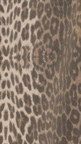 Vasila Button Up Shirt and Shorts Set - Light Leopard Print